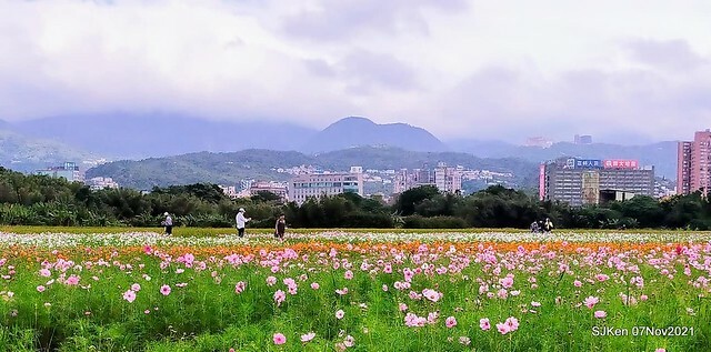 081-249866875_4762344990489935_5138557268653124577_n