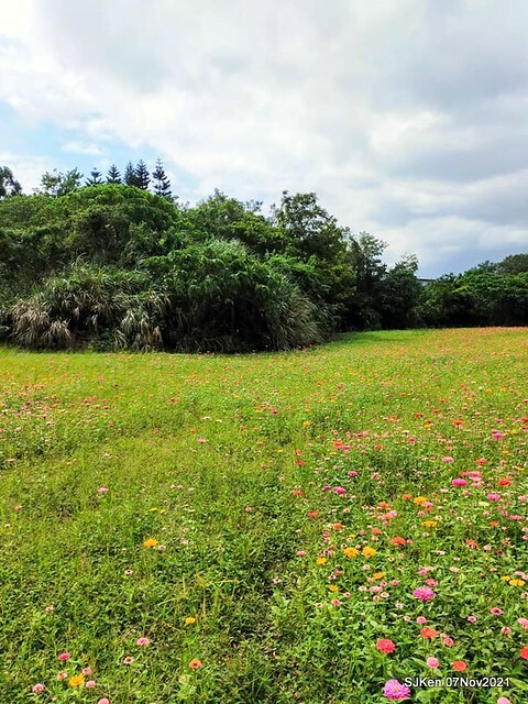 053-248706360_4762342930490141_8987494598171286609_n