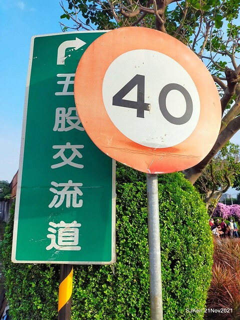 新北市泰山區楓樹河濱公園「蒜香藤」(Garlic Vine)花季，2021.11.19 ~ 2021.11,28, SJKen, Hsinpei city, Nov 21, 2021.