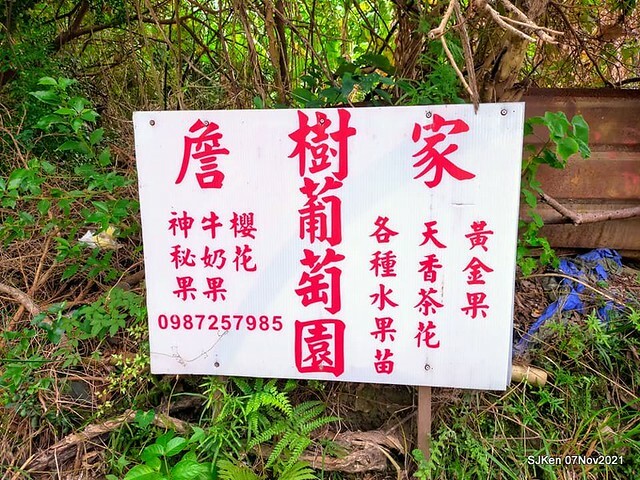 028-249456545_4762340793823688_1628578118163421023_n