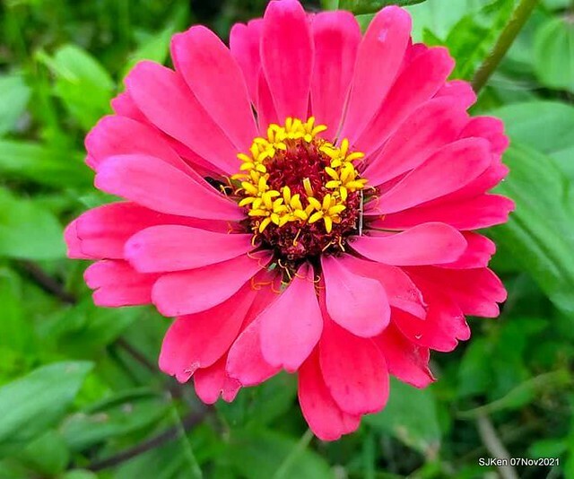 009-250257667_4762349287156172_9034063714864086231_n