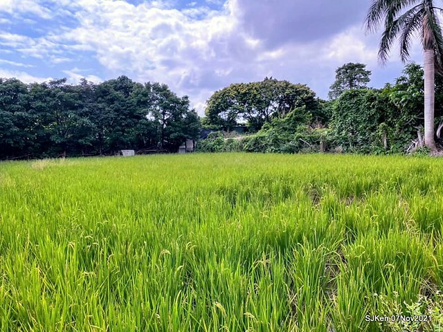 037-247414031_4746082768782824_5405838867725632553_n