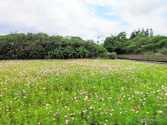 017-252363192_4762343167156784_6249689842053265935_n