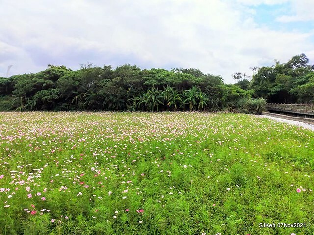 054-252414088_4762343040490130_5377268713589095891_n