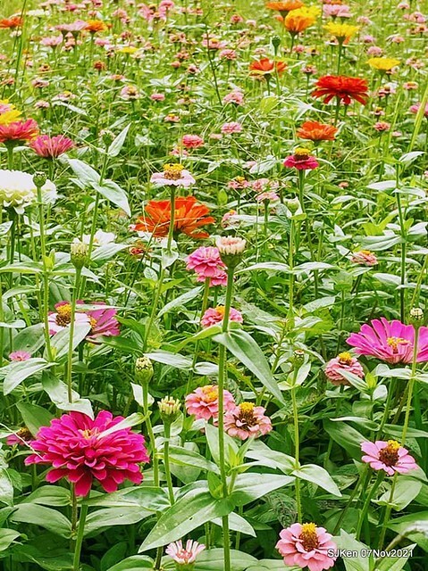 128-246752813_4746072542117180_3902906881564336499_n