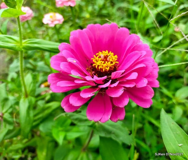 093-248920537_4762348833822884_7355006526478498641_n