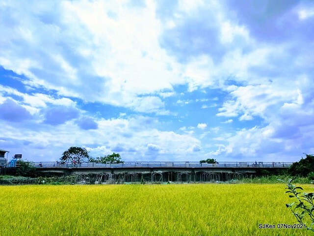 040-250620881_4762341587156942_3870585406127696033_n