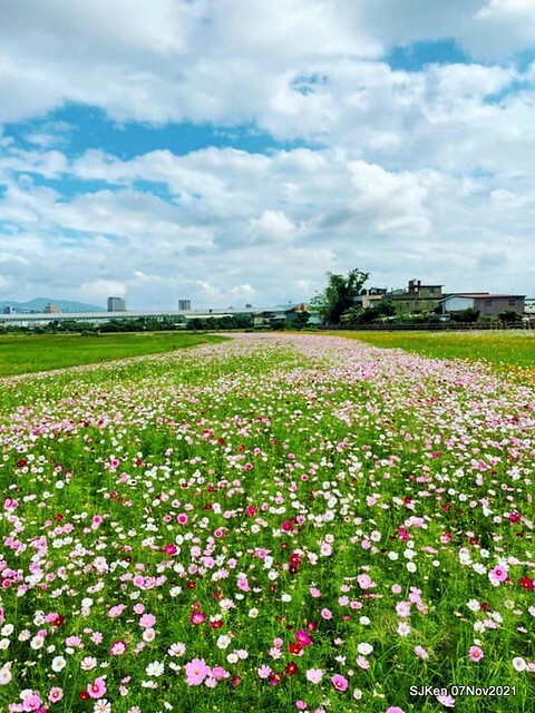 064-251070796_4746072965450471_5542168696914270255_n