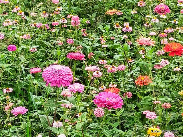 122-250062973_4762347850489649_1653247062391226341_n