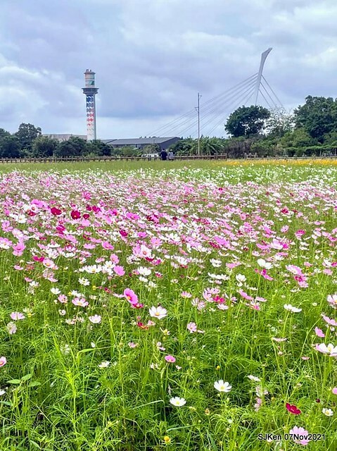 062-248345467_4746073792117055_952932770877071954_n