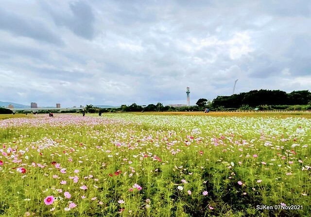 016-249059186_4746070938784007_6457530425429331145_n