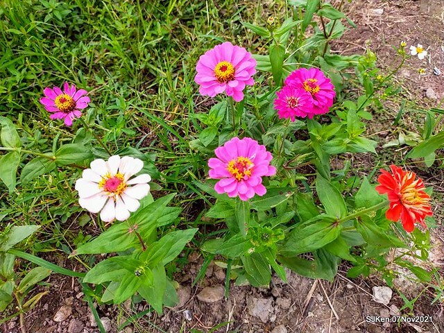 123-249903395_4762347210489713_4128589992212163194_n