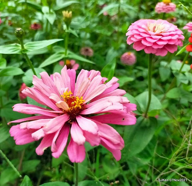 096-250478280_4762348083822959_4887166957841225448_n