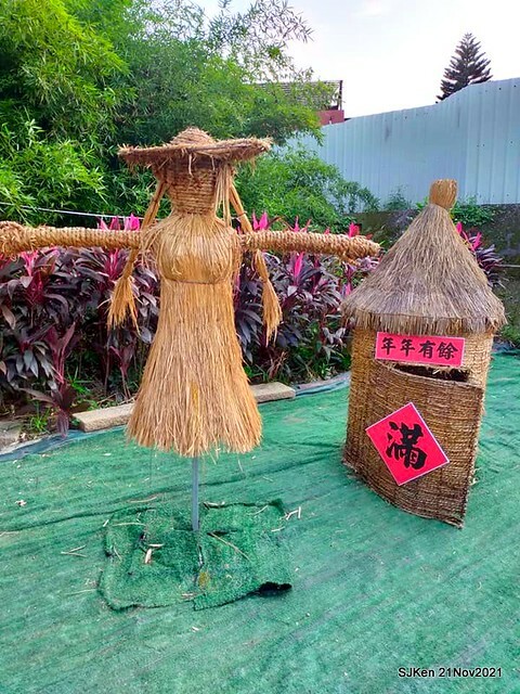 新北市泰山區楓樹河濱公園「蒜香藤」(Garlic Vine)花季，2021.11.19 ~ 2021.11,28, SJKen, Hsinpei city, Nov 21, 2021.