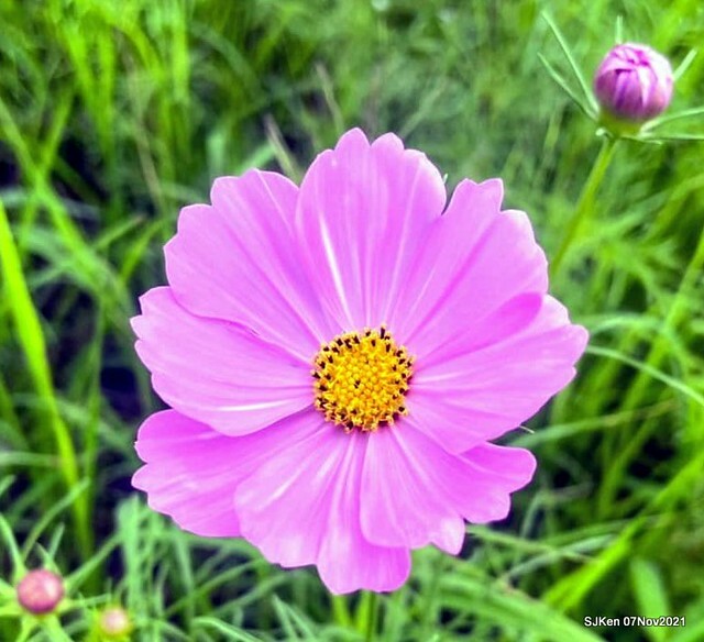 010-247121904_4746076368783464_193176314794014316_n