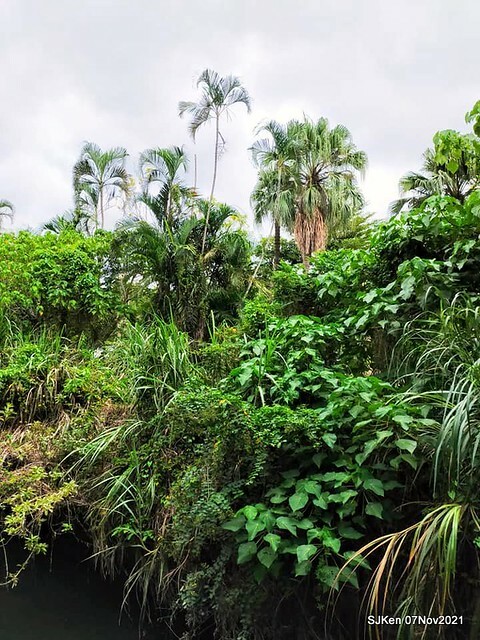 047-251222066_4762342120490222_1812583566364816050_n