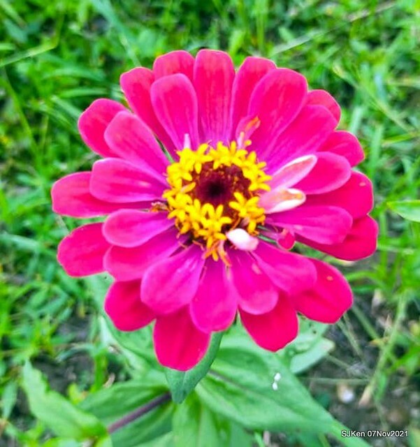 094-251021207_4762347363823031_6360570802081249349_n