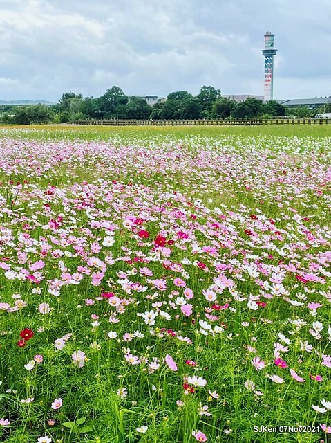 063-249386958_4746073908783710_5812561471392577338_n