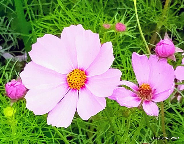 099-249349829_4762346810489753_8009113999845686372_n