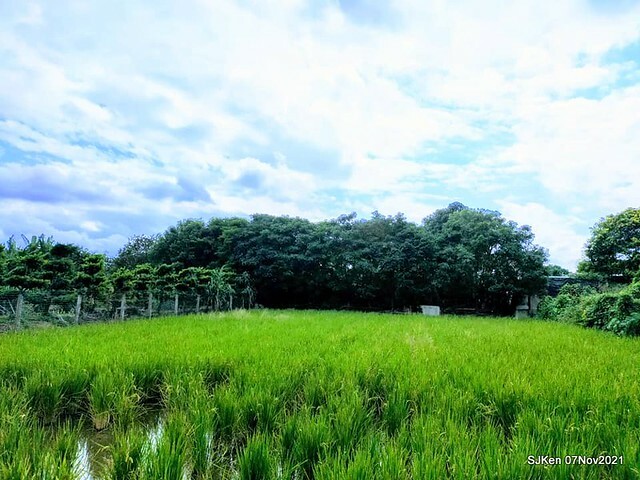 039-249844425_4762341200490314_4769703110834954817_n