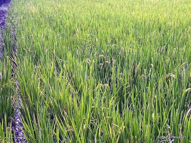 042-250721614_4746082882116146_5989163326733710724_n