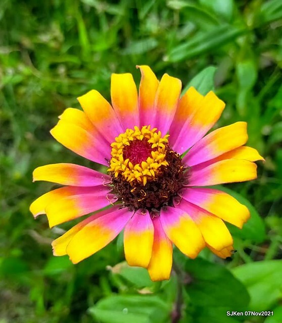 108-250330019_4762348240489610_4510771132931551693_n