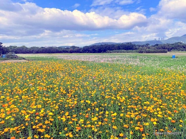 018-249060861_4746080168783084_3366792602953305511_n