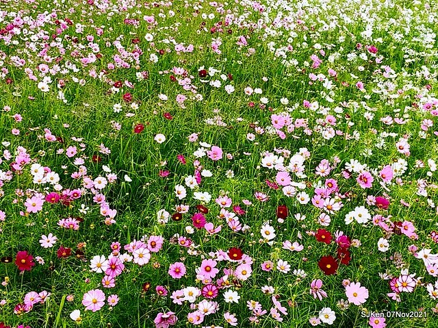 065-248723334_4746070808784020_3063131506110332380_n