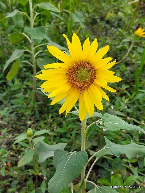 112-248705608_4762349807156120_5394202824966857432_n