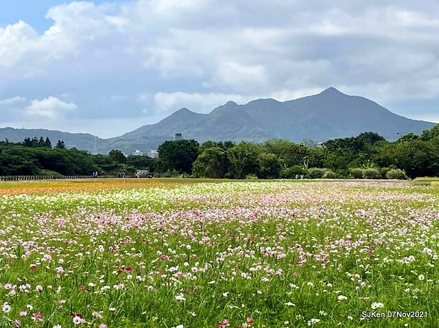 134-251365913_4746081138782987_1826304221332967245_n