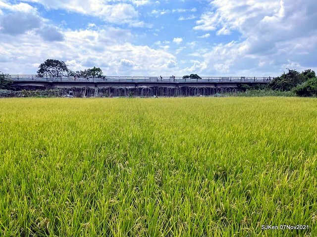 041-251362897_4746082612116173_1398198254052961715_n