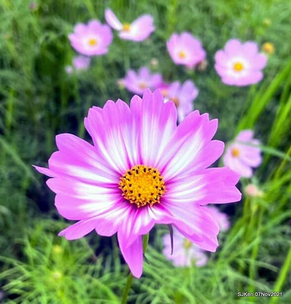 103-250641119_4746076292116805_8926339147499238954_n