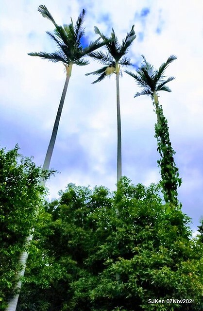 046-252404068_4762341793823588_702333057460069140_n