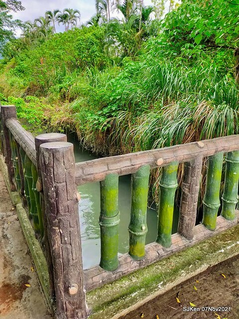 050-253575648_4762341967156904_1491328641551638594_n