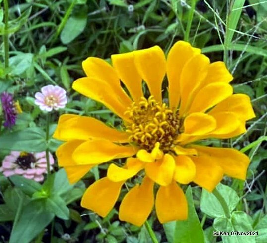 097-250257302_4746073275450440_5523628807604966716_n