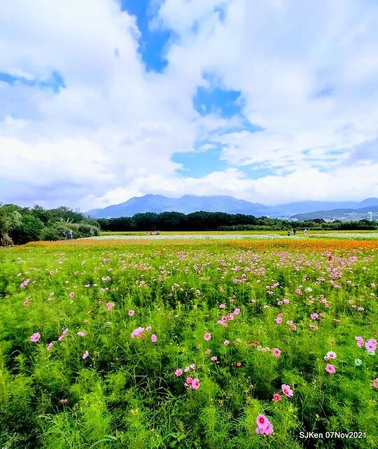 069-251397780_4762345860489848_4203341127338705695_n