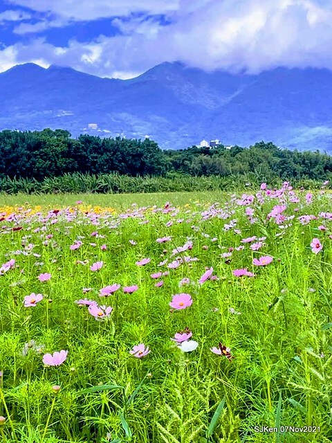 088-250975588_4746081702116264_5922755090221569936_n