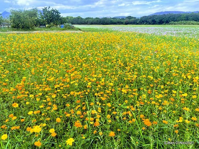 019-248319962_4746080088783092_6950055947691241709_n