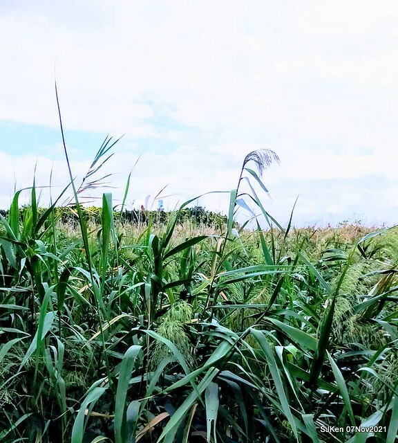 034-252463322_4762340510490383_6582527002402571607_n