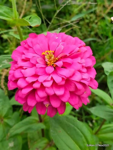 012-249190642_4762349080489526_3793206808340952369_n