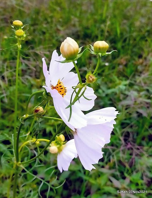 127-249251119_4762348357156265_4668805700677257517_n