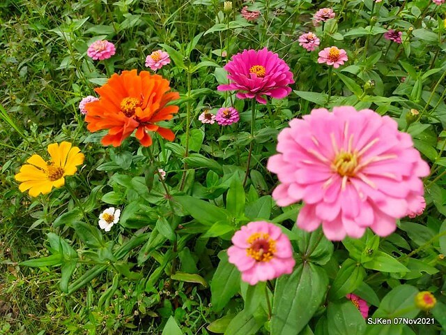 125-252096097_4762349947156106_4172556809781654526_n