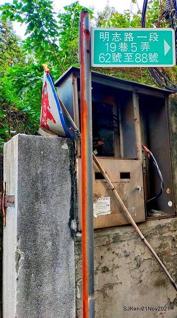 新北市泰山區楓樹河濱公園「蒜香藤」(Garlic Vine)花季，2021.11.19 ~ 2021.11,28, SJKen, Hsinpei city, Nov 21, 2021.