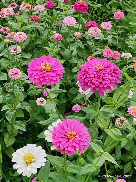 105-249658134_4746076075450160_5122267291992591028_n