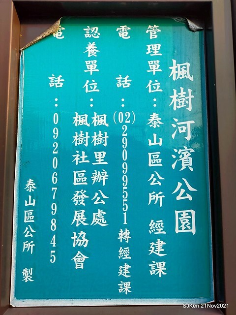 新北市泰山區楓樹河濱公園「蒜香藤」(Garlic Vine)花季，2021.11.19 ~ 2021.11,28, SJKen, Hsinpei city, Nov 21, 2021.