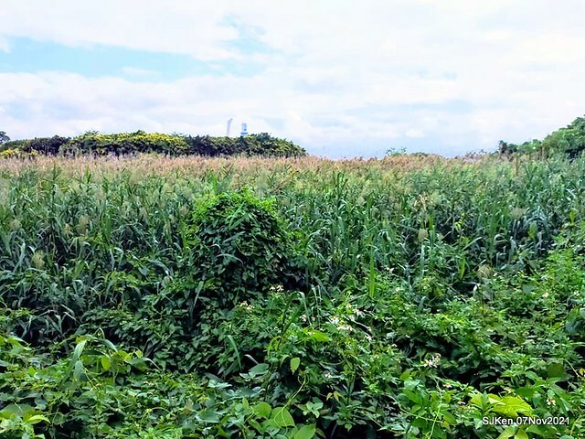 033-249868256_4762340250490409_7160846668975071670_n