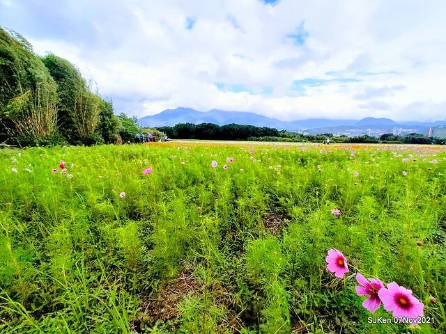 068-252958242_4762344777156623_6622752178697568842_n