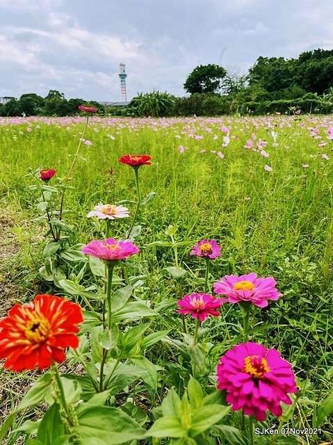 132-250850815_4746072278783873_5647156554739982867_n