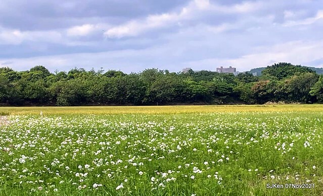 082-250971290_4746081382116296_5687071086922970657_n