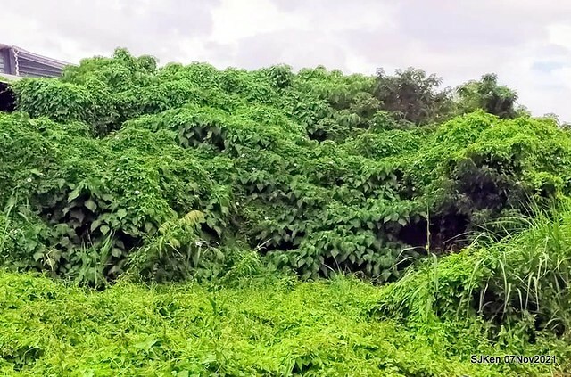 027-250365771_4762345210489913_5445804471342593673_n